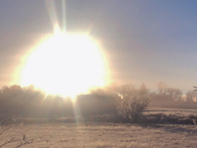 Sun rising above trees on a cold winter day